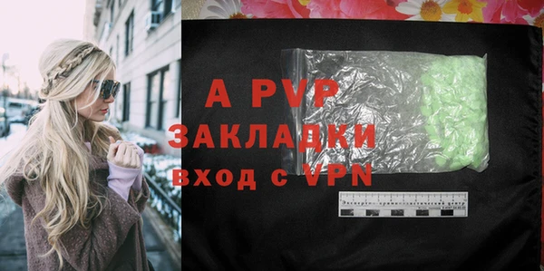 индика Алексин