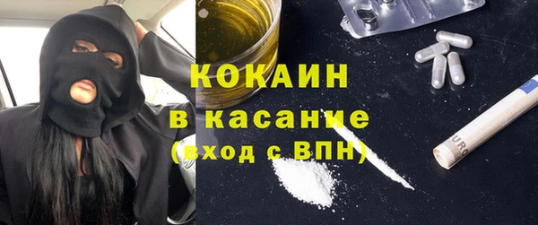 индика Алексин