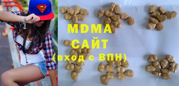 индика Алексин