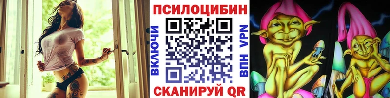 закладки Звенигово Псилоцибиновые грибы GOLDEN TEACHER